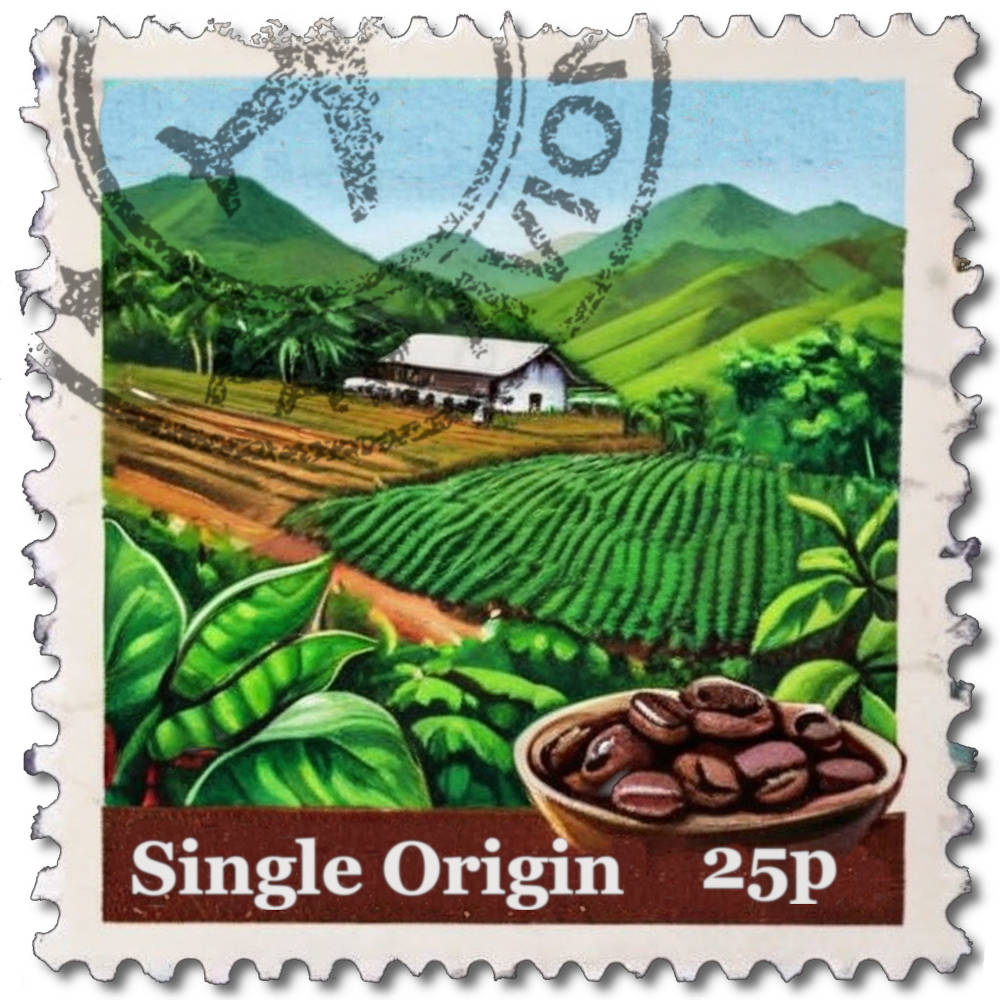 Carmela Lenzo Single Origin Coffee