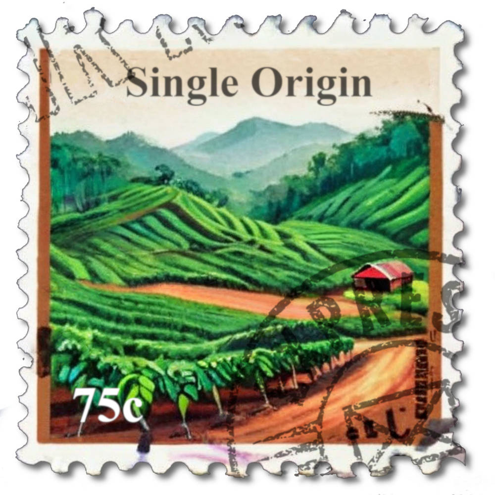 Carmela Lenzo Single Origin Coffee