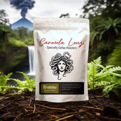 Carmela Lenzo coffee roasters package with a scenic background of a volcano and waterfall.