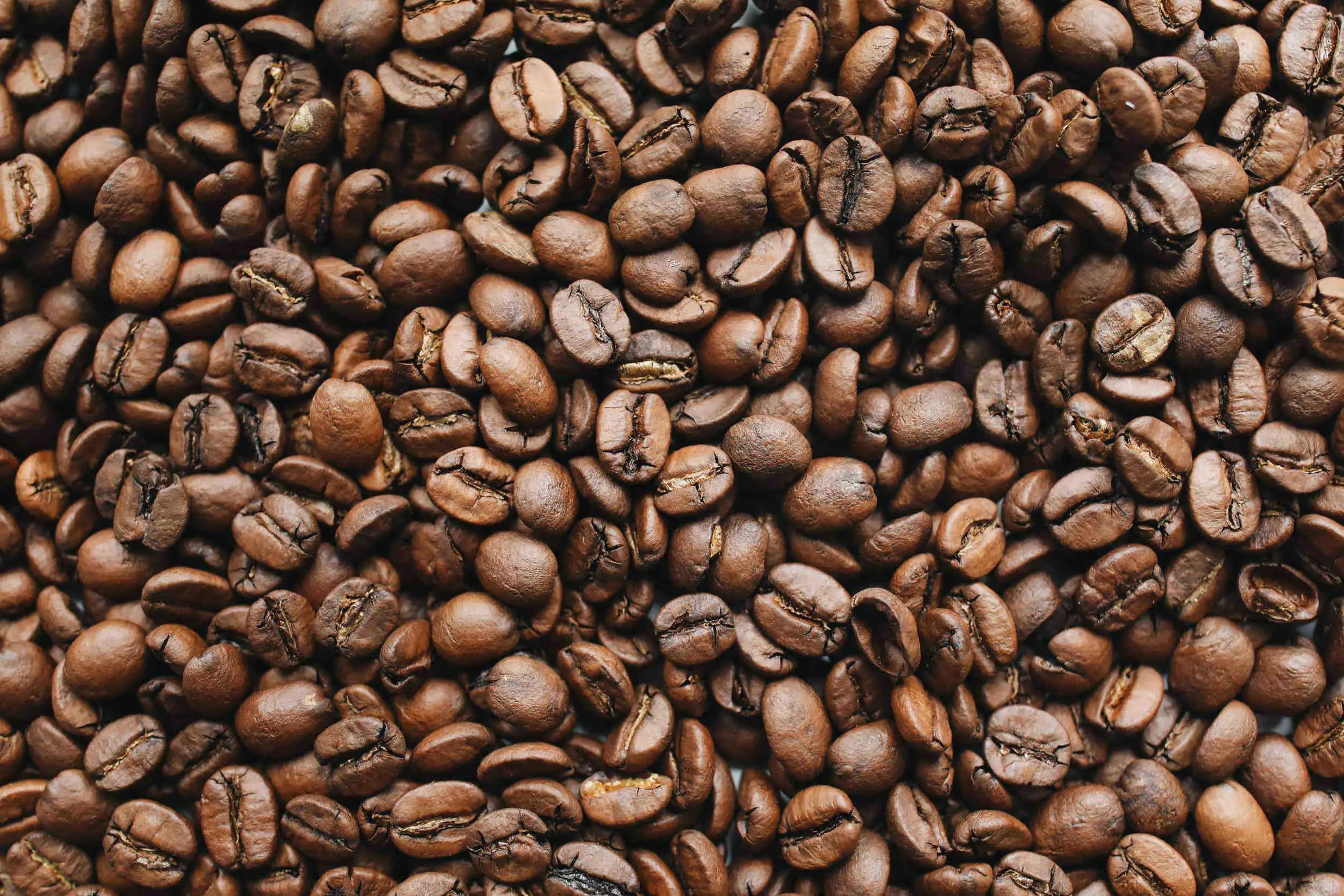 Close-up of roasted coffee beans