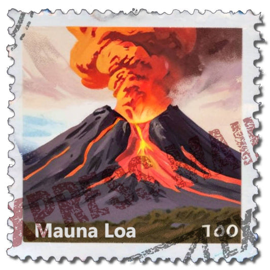 Carmela Lenzo Mauna Loa Coffee Blend