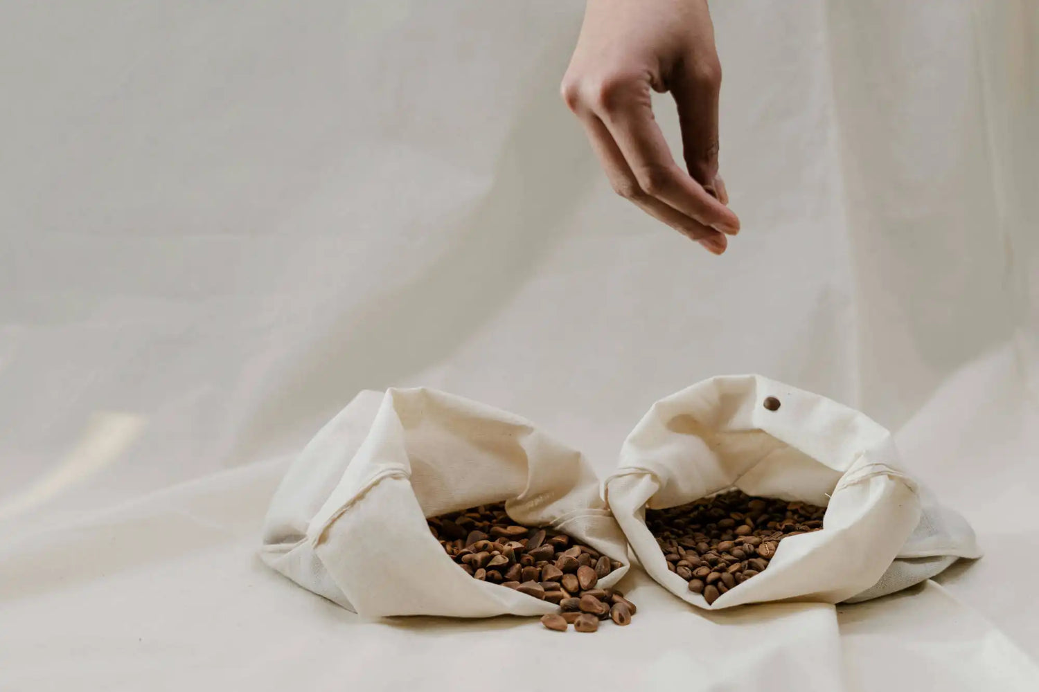 Two white fabric bags filled with coffee beans on a light background