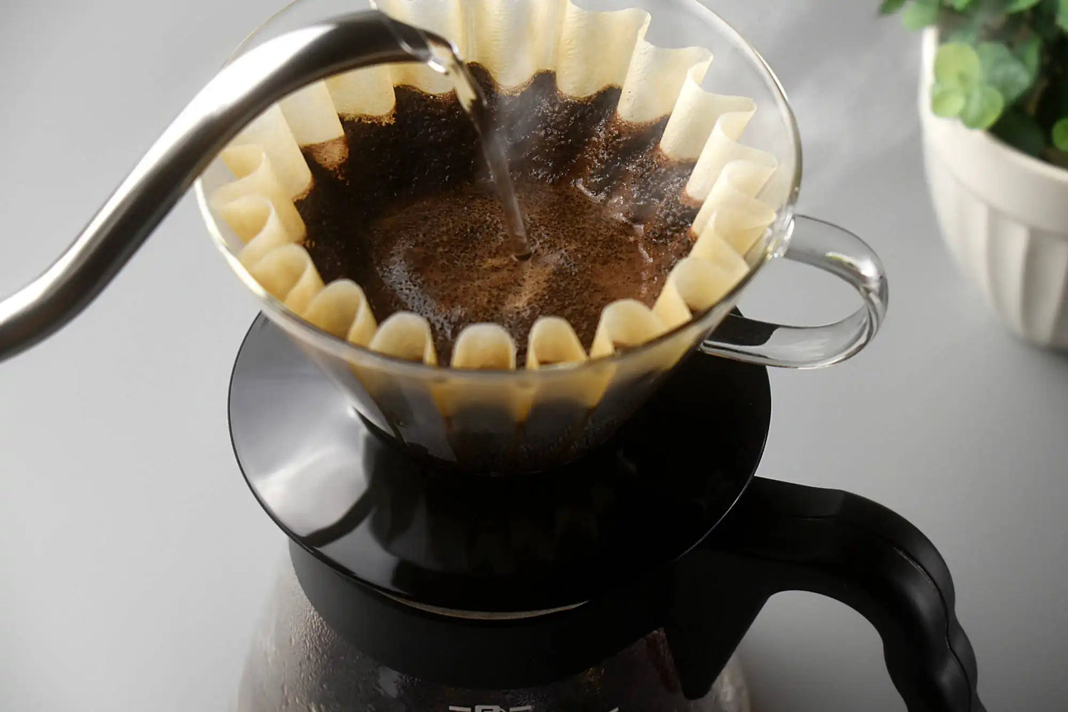 Coffee being brewed into a filter with a plant in the background