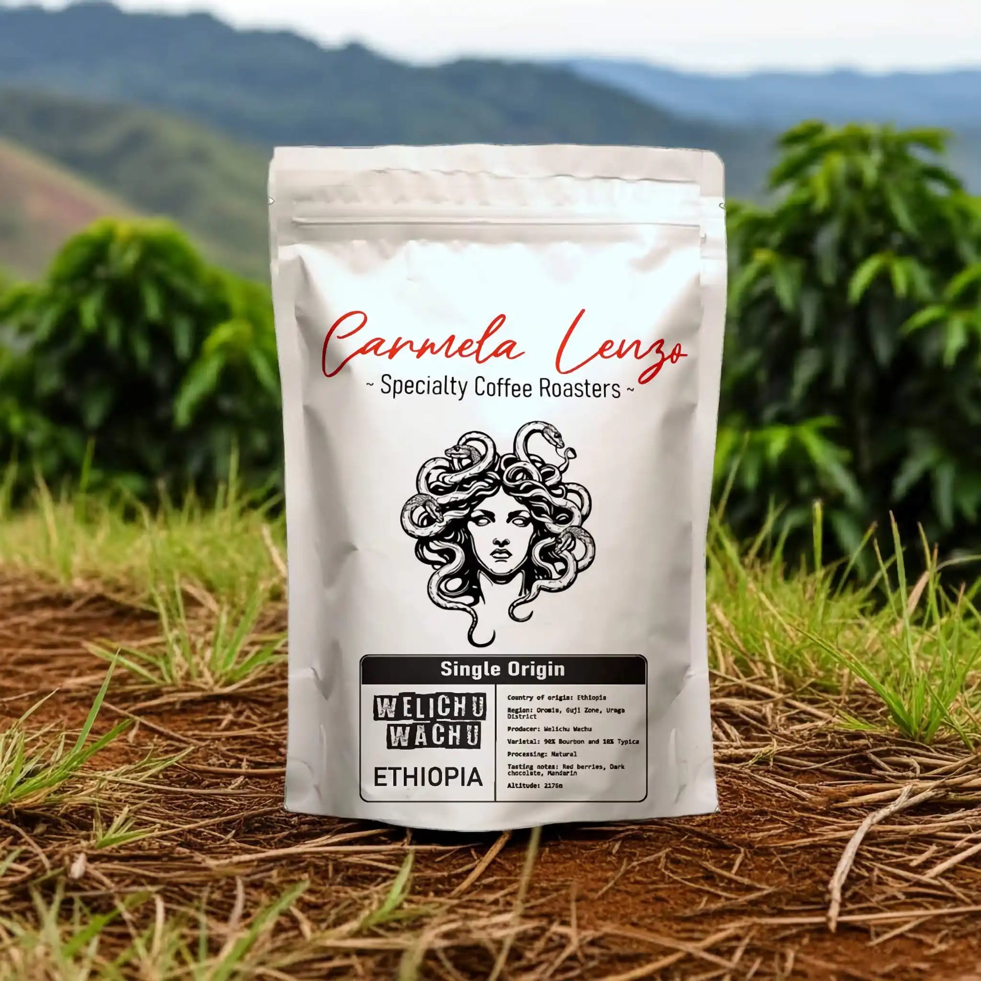 Carmela Lenzo coffee bag with a scenic background of greenery and mountains.