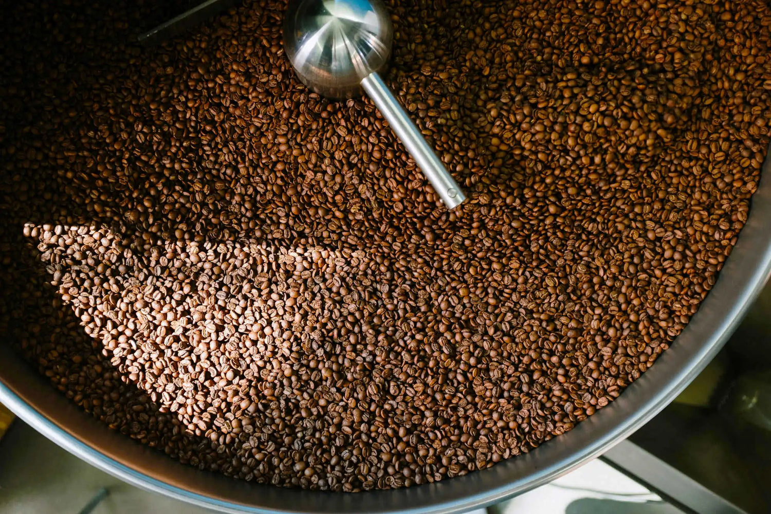 Coffee beans in cooling tray