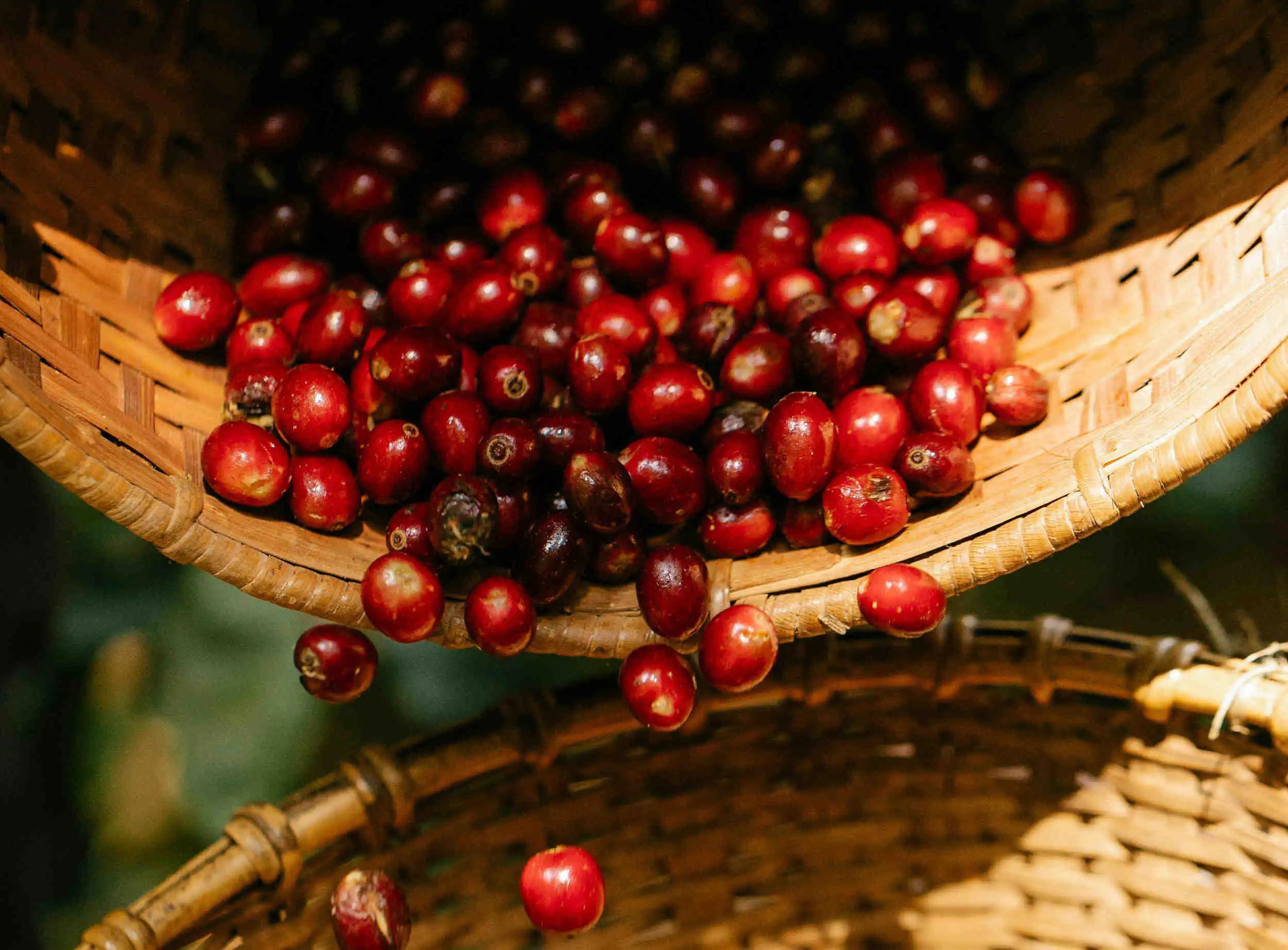 Red berries in a woven basket with a blurred background