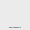 Carmela_Lenzo_Ad_March_25